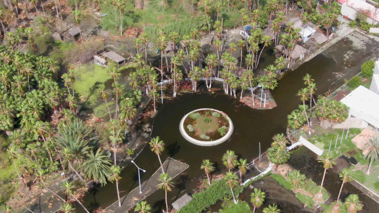 Overhead aerial frame in San Jose del Cabo showing a dark pond, circular planted island, surrounding palms, pale walking paths, and no visible people.