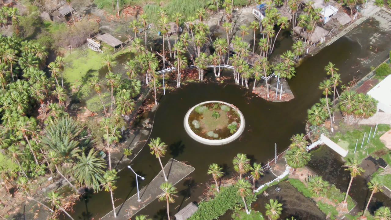 Drone view of landscaped pond, circular island, palms, footpaths, and no visible people.