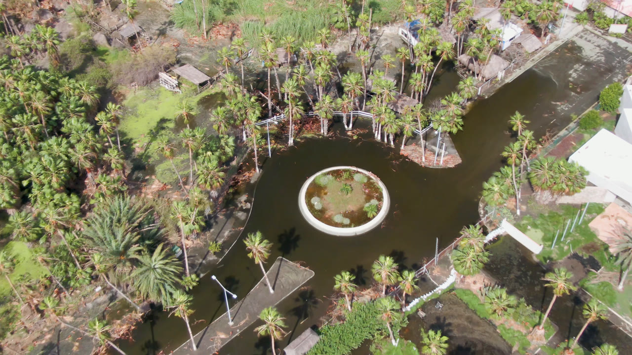 High overhead view in San Jose del Cabo showing a dark pond, circular planted island, palm trees, paths, lawn, and no visible people at the start of the clip.