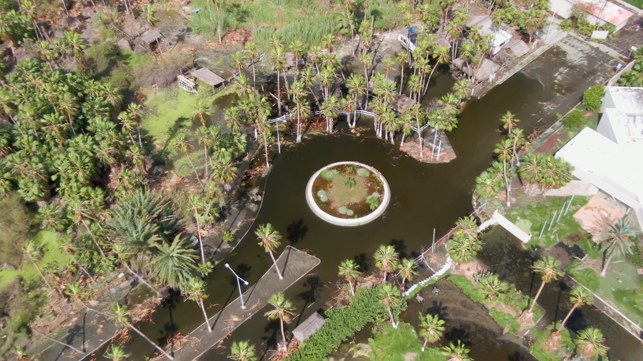 Overhead San Jose del Cabo park frame with the pond centered lower in view, dense palms around the water, a pale-roofed building to the right, and no visible people.