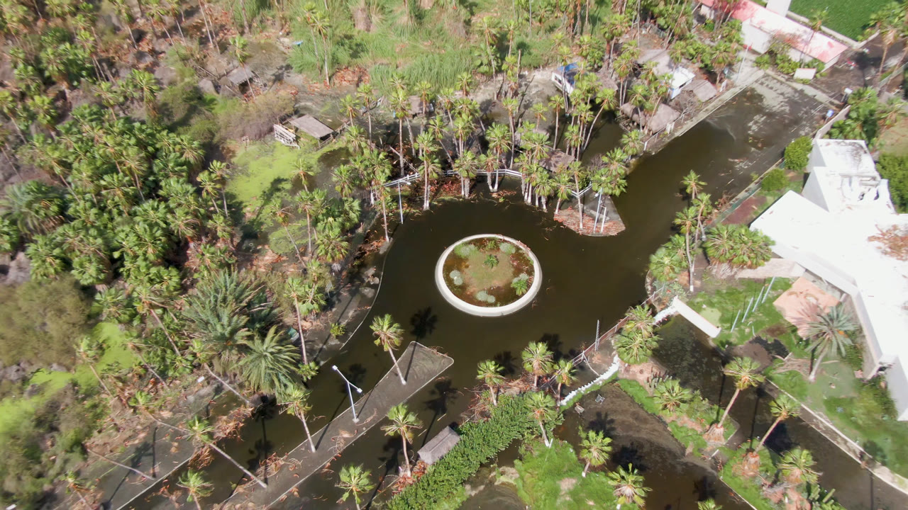 Drone view of circular island in pond beside dense trees and roofline