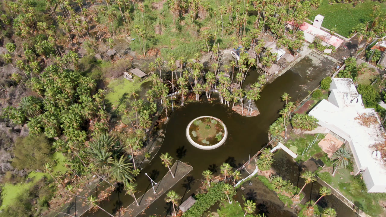 Overhead view of a pond, palms, grass, and a white house