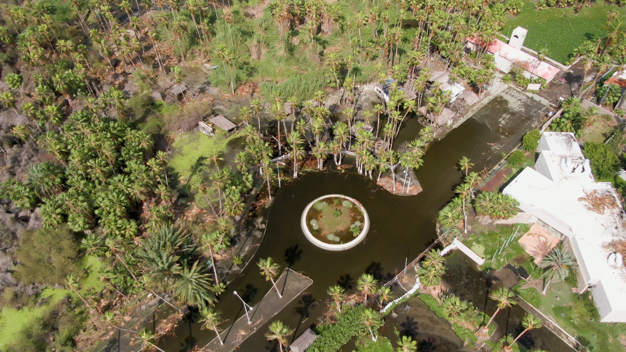 Second overhead frame in San Jose del Cabo, Mexico, keeping the pond and circular feature centered while palms fill the left side and the bright white house remains on the right, with no visible people.