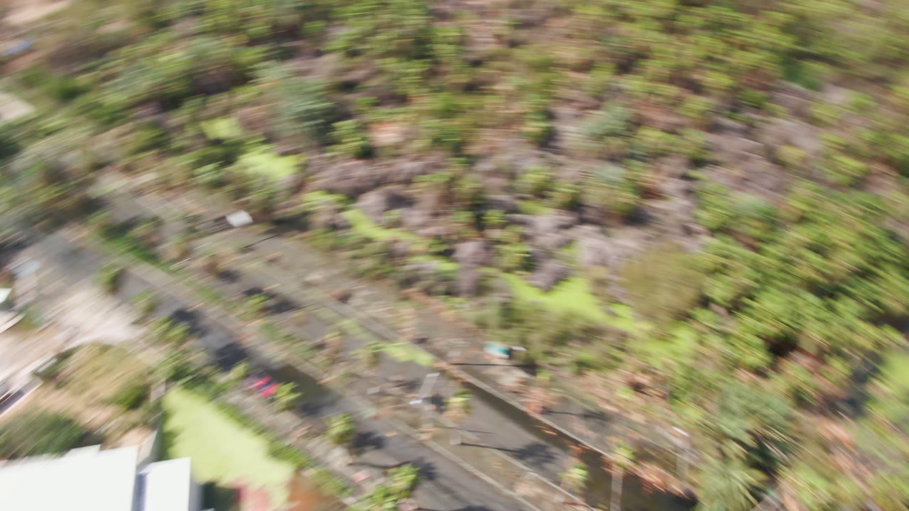Motion-blurred San Jose del Cabo aerial frame with palm-covered ground, pond edge, white roof shapes, and green landscaping, with no visible people.