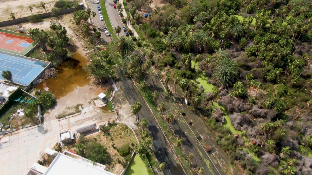 Aerial frame in San Jose del Cabo showing blue tennis courts at left, palms, a paved road, sandy ground, brown water, dense trees, and no visible people.