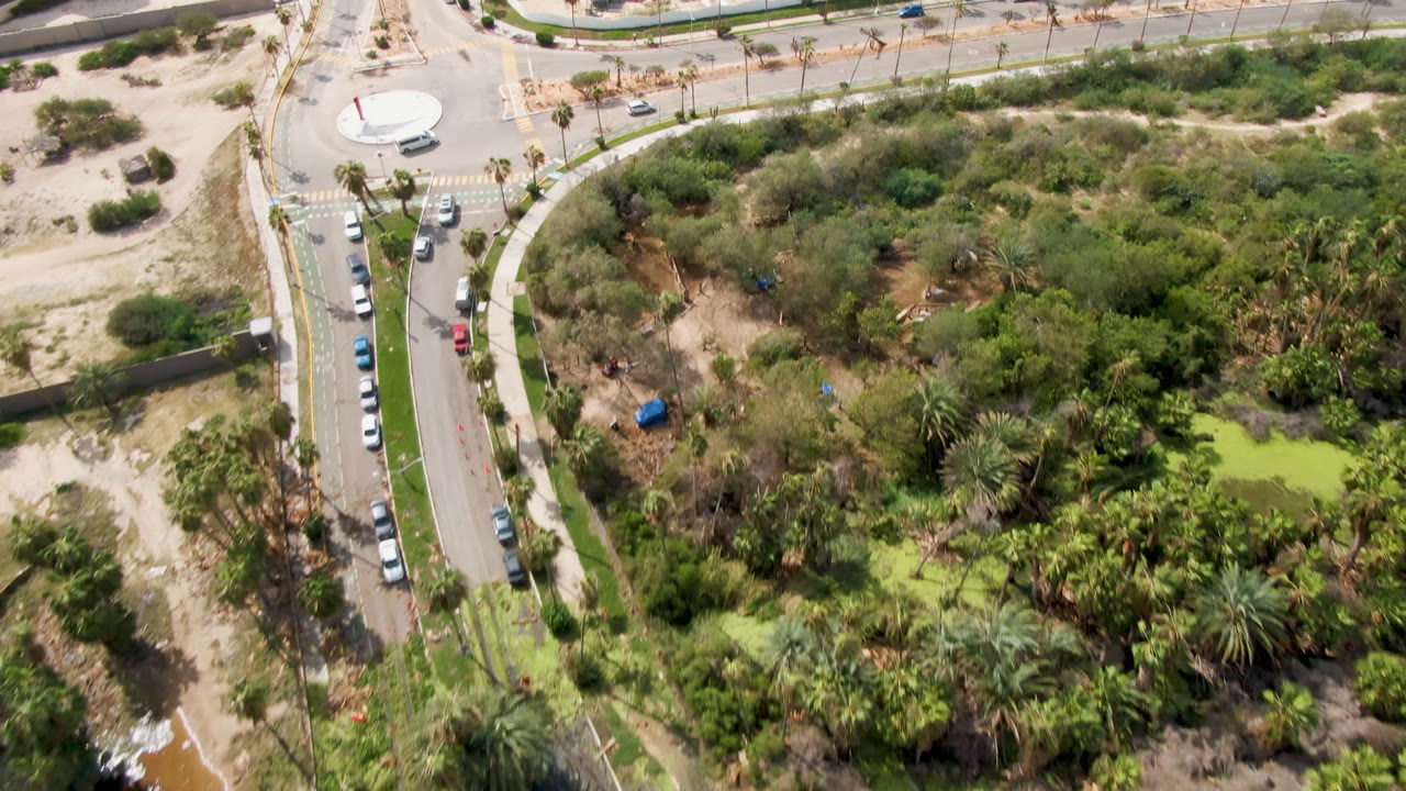 Aerial frame over San Jose del Cabo showing a curved road, cars, palms, scrubland, and small green water patches, with no visible people.