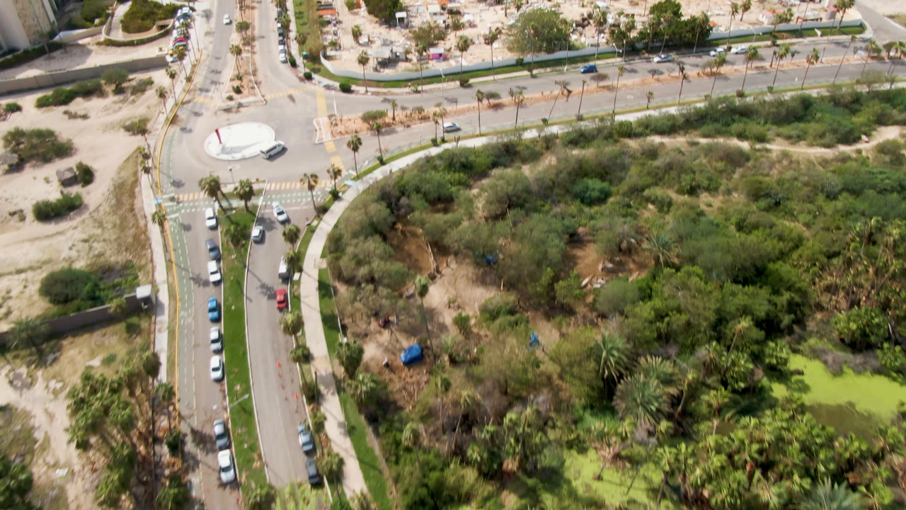 Aerial view in San Jose del Cabo with a roundabout, lines of cars, roadside palms, open scrubland, and green water visible below, with no visible people.