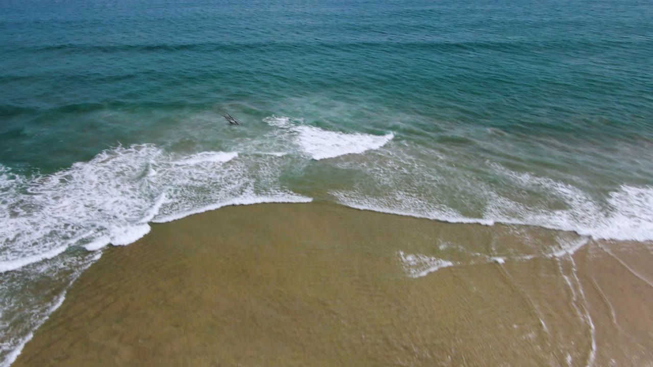 Aerial view over San Jose del Cabo shoreline showing blue-green water, tan sand, white surf, two small dolphins near the breakers, and no visible people.