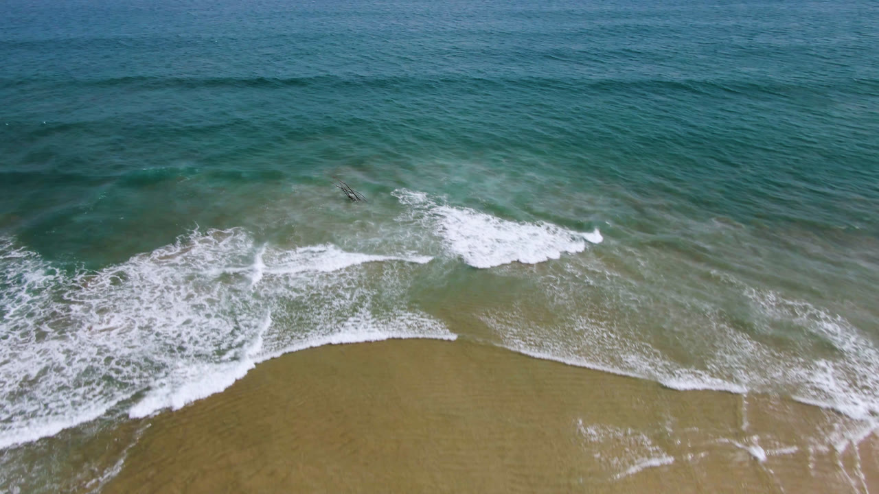 Drone view in San Jose del Cabo with white foam spreading diagonally over shallow water while two dark dolphins remain just beyond the breaking wave, with no visible people.