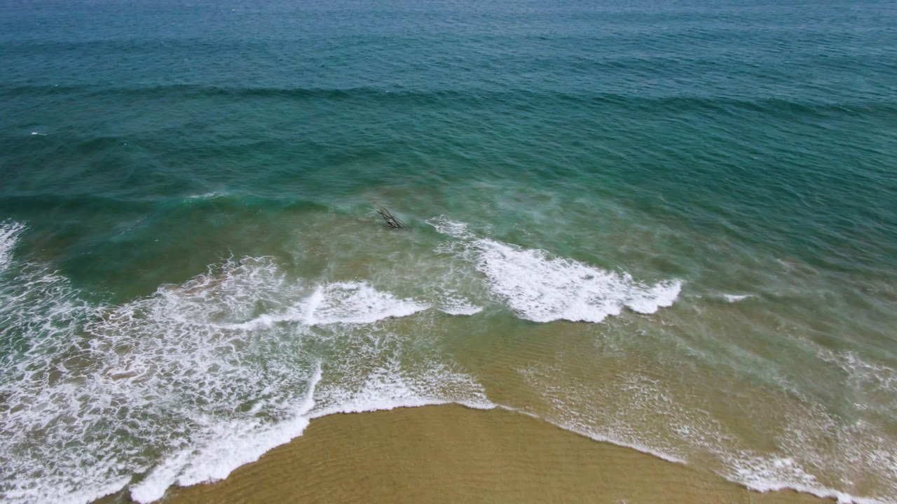 Aerial surf pattern with dolphins near the upper wave edge