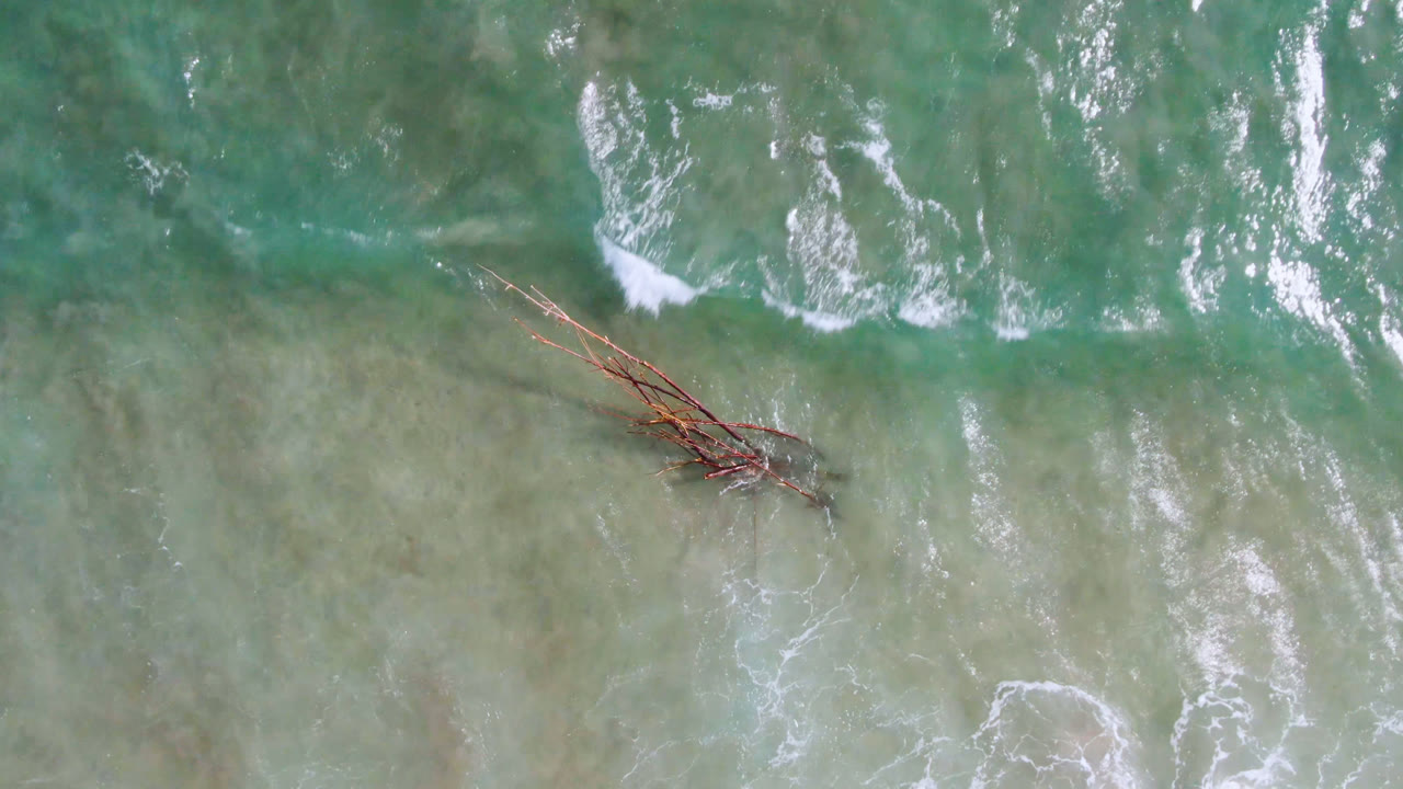 Overhead view in San Jose del Cabo of pale green shoreline water, white foam, and a small wooden structure near the left side of the surf with no visible people.