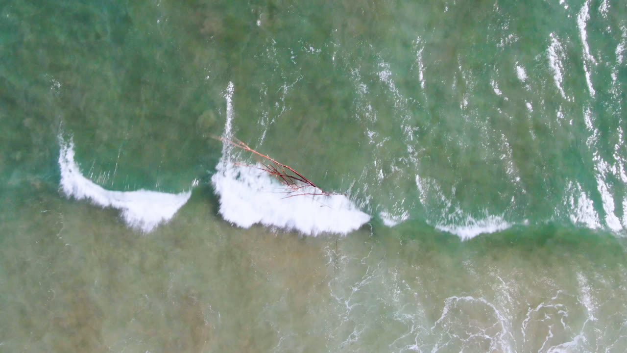 San Jose del Cabo aerial frame showing a curved white wave breaking through green shallow water, with the long wooden structure partly visible near the upper center and no visible people.