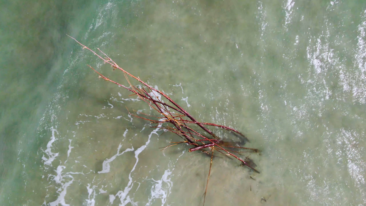 Overhead San Jose del Cabo view of long reddish branches crossing shallow green water, with broken white surf lines near the lower left and no visible people.