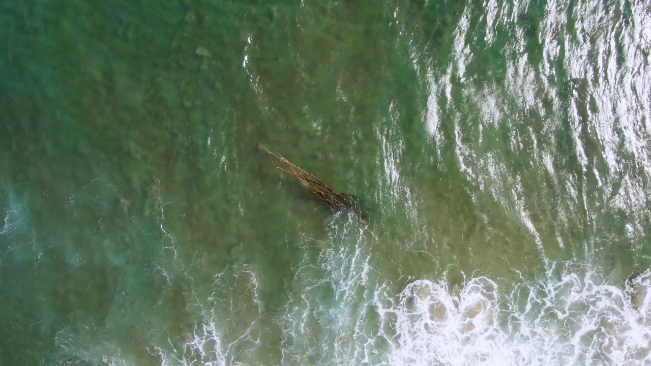 Top-down San Jose del Cabo shoreline water shows white wave streaks over green shallows, with the small brown object slightly left of center and no visible people.