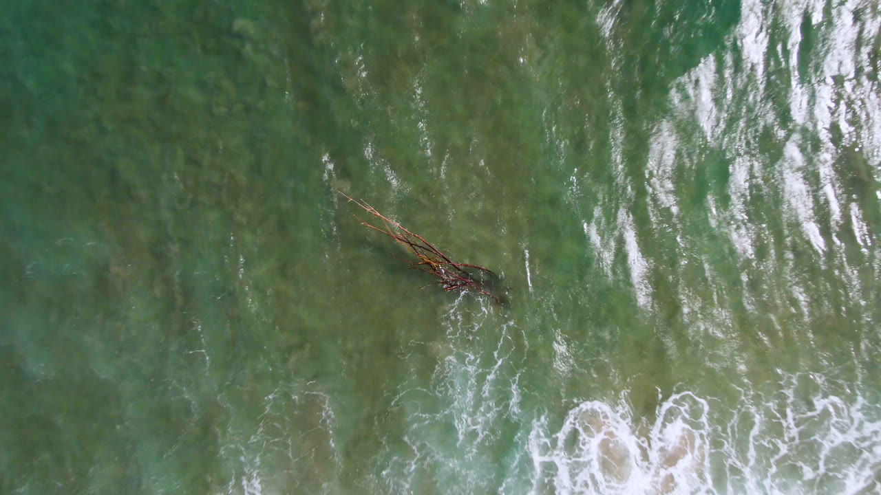 Aerial surf pattern with a small branch-like object in green water