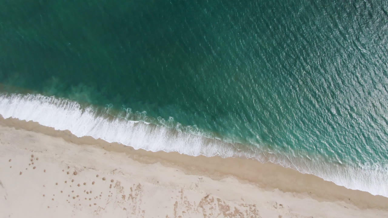 Overhead view of teal water and a white surf line reaching pale sand in San Jose del Cabo, with no visible people.