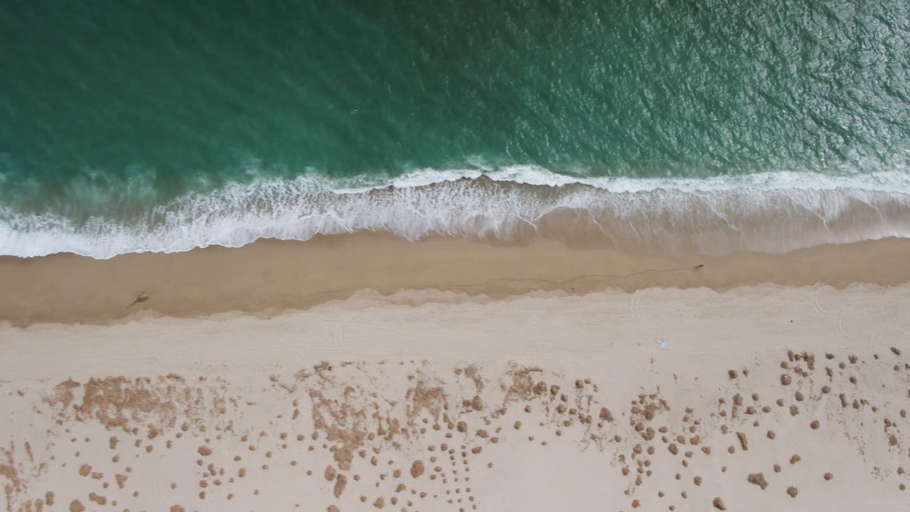 Aerial frame over San Jose del Cabo beach where a white wave band curls across wet tan sand above scattered dune scrub, with no visible people.