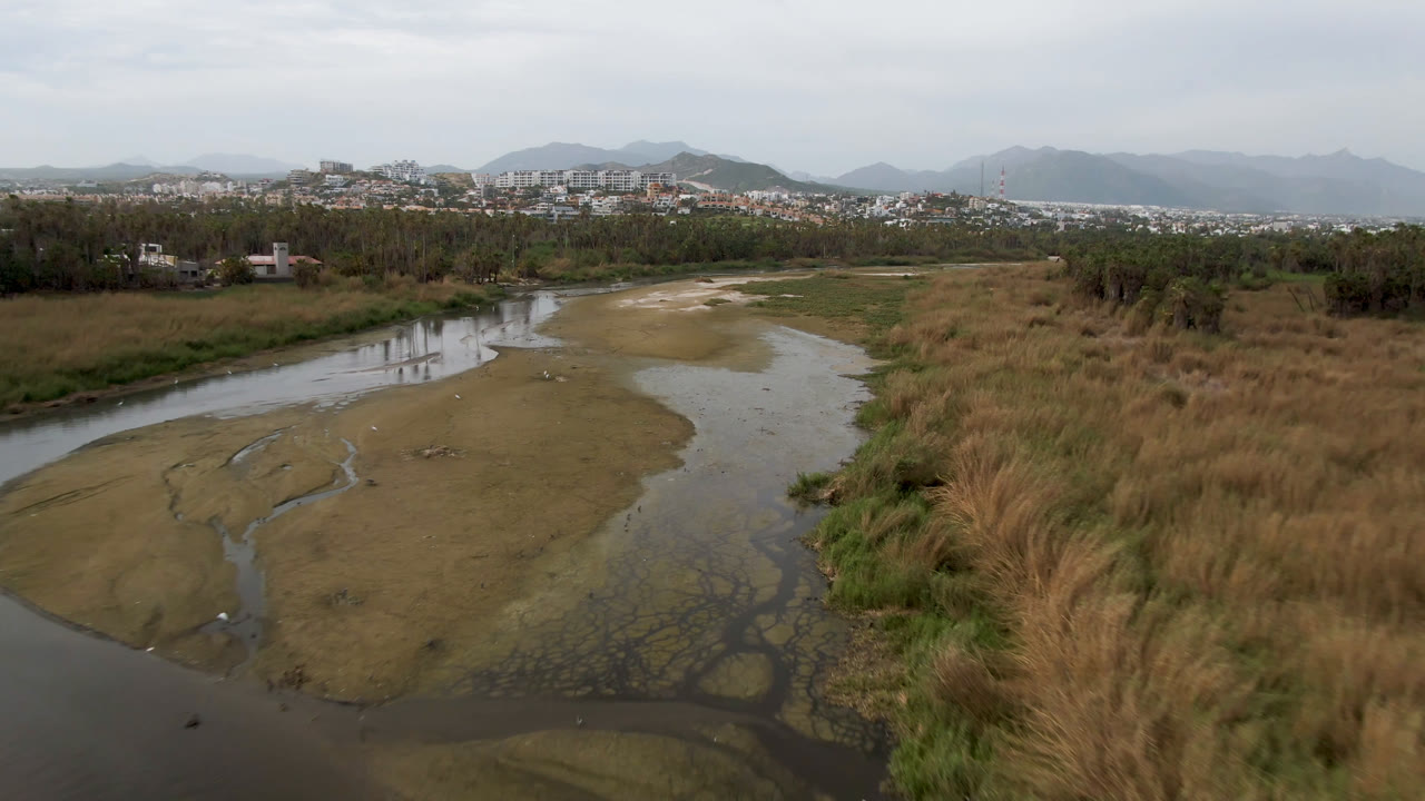 Aerial view in San Jose del Cabo with the river bend closer to the lower frame, tall dry reeds at right, exposed muddy flats in the center, and no visible people.