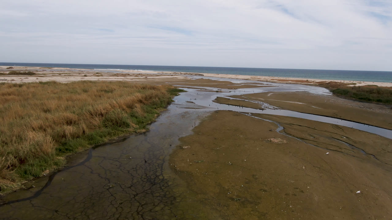 Aerial frame from San Jose del Cabo with the water channel centered more clearly, dry grasses along the left bank, pale beach beyond, and no visible people.