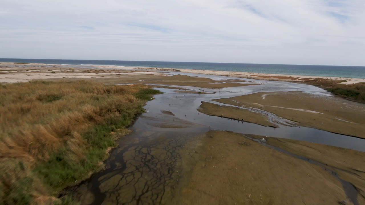 Aerial frame over San Jose del Cabo tidal sand flats with dune grass on the left, shallow dark water in the foreground, pale surf beyond, and no visible people.