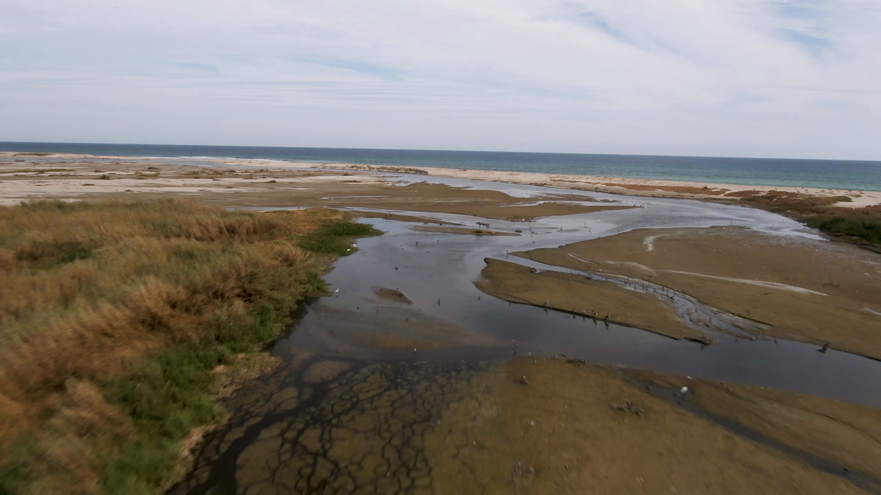 Drone frame in San Jose del Cabo showing a grass bank at left, branching shallow water across exposed sandbars, blue-green ocean in the distance, and no visible people.