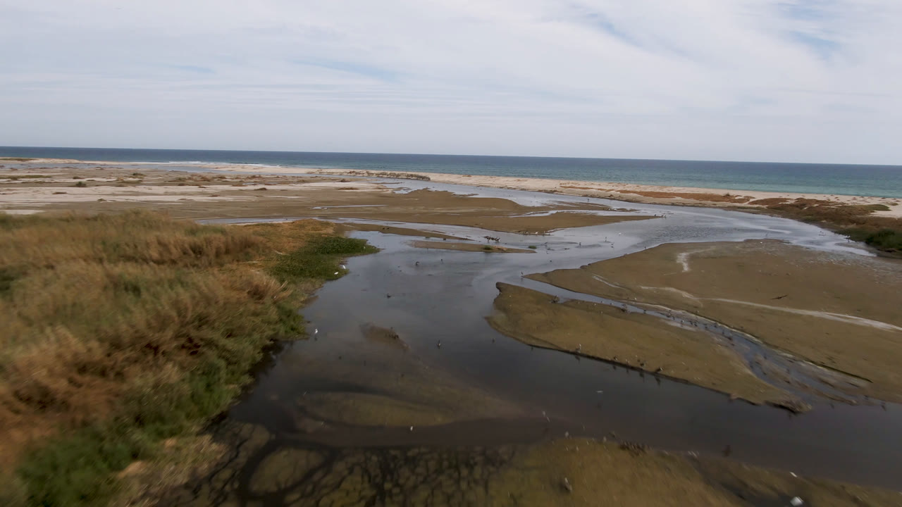 Elevated coastal view with sandbar channels, low vegetation, surf, and cloudy sky.