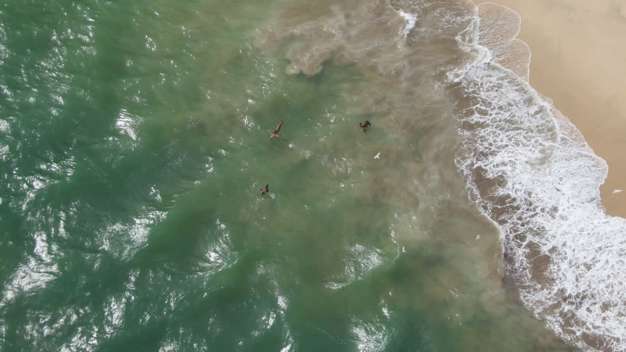 Top-down aerial view in San Jose Del Cabo showing green-blue water, pale sand at the right edge, white surf foam, and tiny swimmers in the shallows.