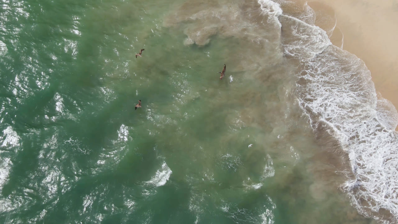 Aerial frame from San Jose Del Cabo with several tiny swimmers spaced across green water, a diagonal surf line, and pale sand visible along the right side.