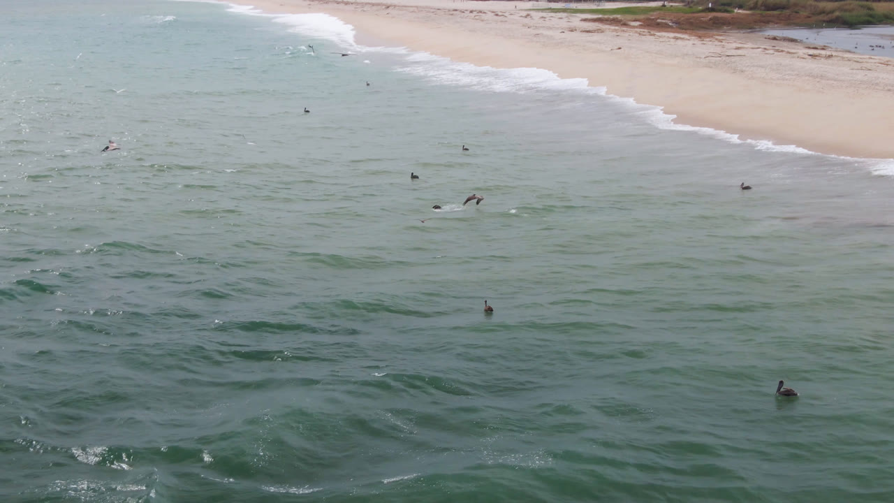 At 0:01, the San Jose del Cabo aerial view keeps the beach high in frame while small surfers sit farther apart in textured green water with no recognizable people.