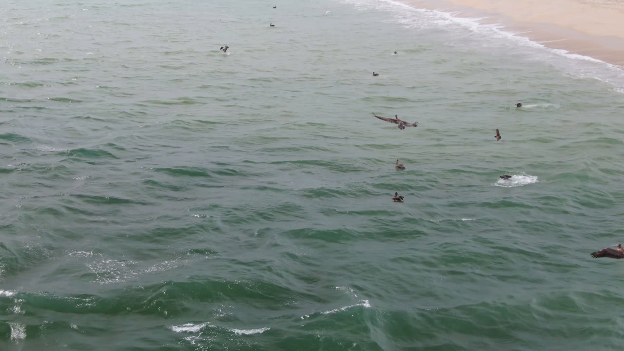 Aerial frame from San Jose del Cabo with surfers appearing as small dark figures in rolling green water, while white foam lines the beach at the top of frame.