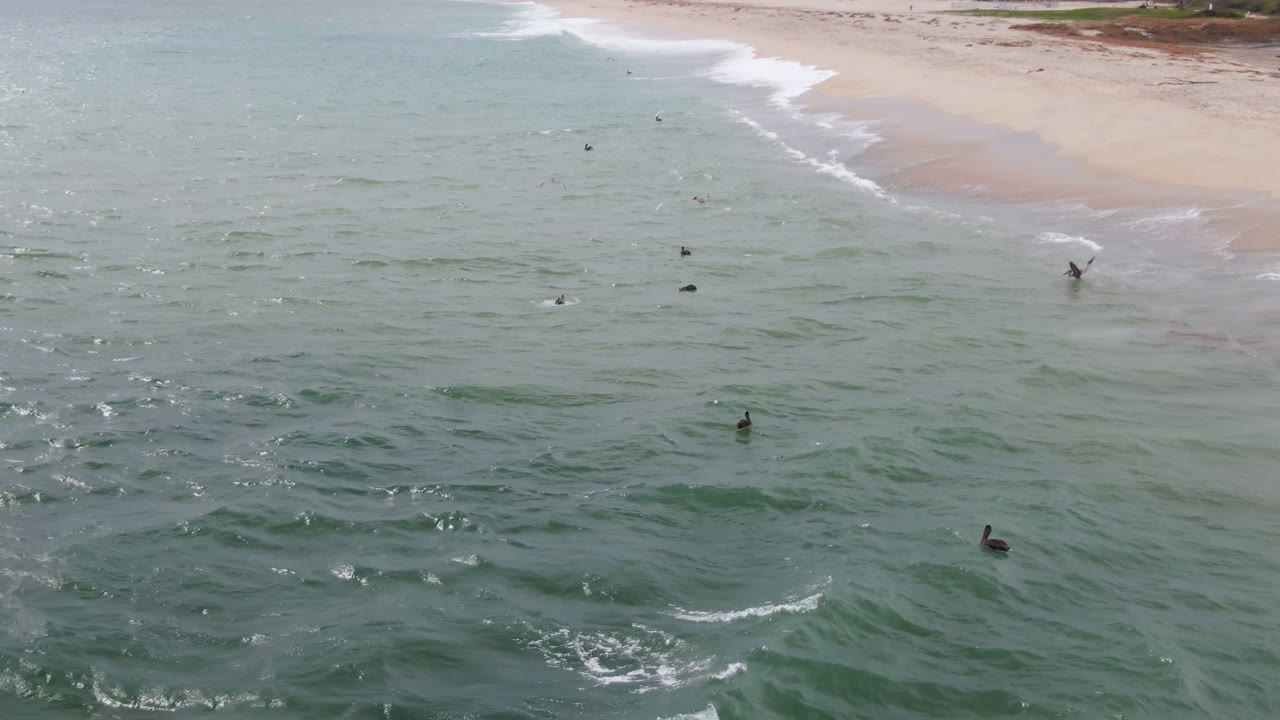 Aerial view over San Jose del Cabo water with scattered distant surfers, green-blue waves, bright surface glare, and pale sand along the upper shoreline.