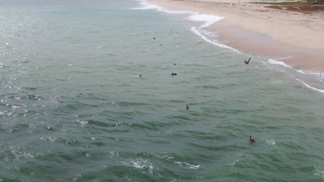 Drone perspective over San Jose del Cabo surf with several small surfer shapes spread through rippled water and a curved strip of pale beach at the top.