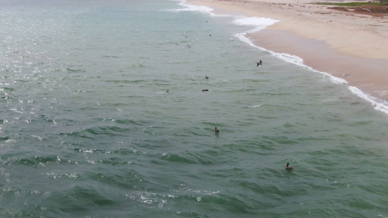 Aerial ocean frame with distant surfers and white foam along the beach.