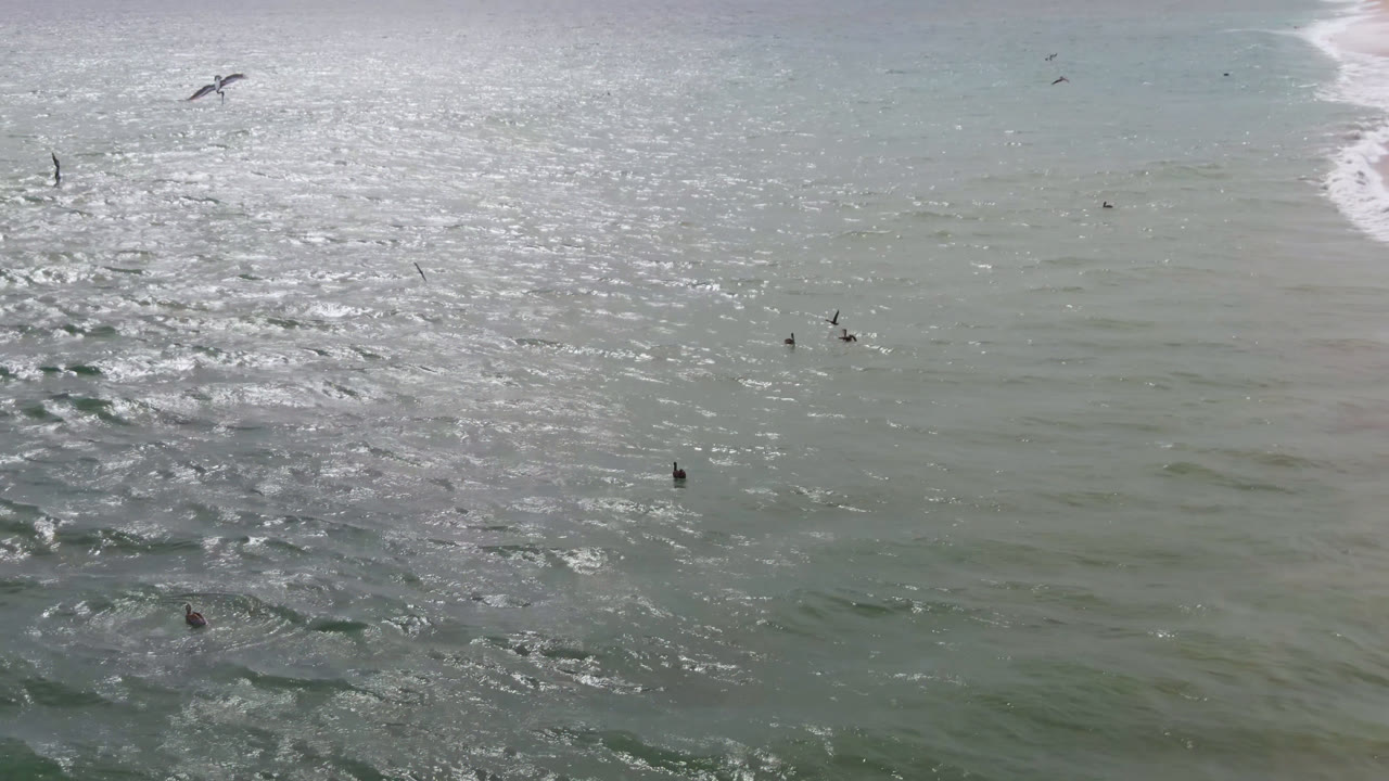 Aerial view over San Jose del Cabo ocean water with distant surfers scattered across sun-glinting green-gray surf and a thin shoreline edge at the far right.