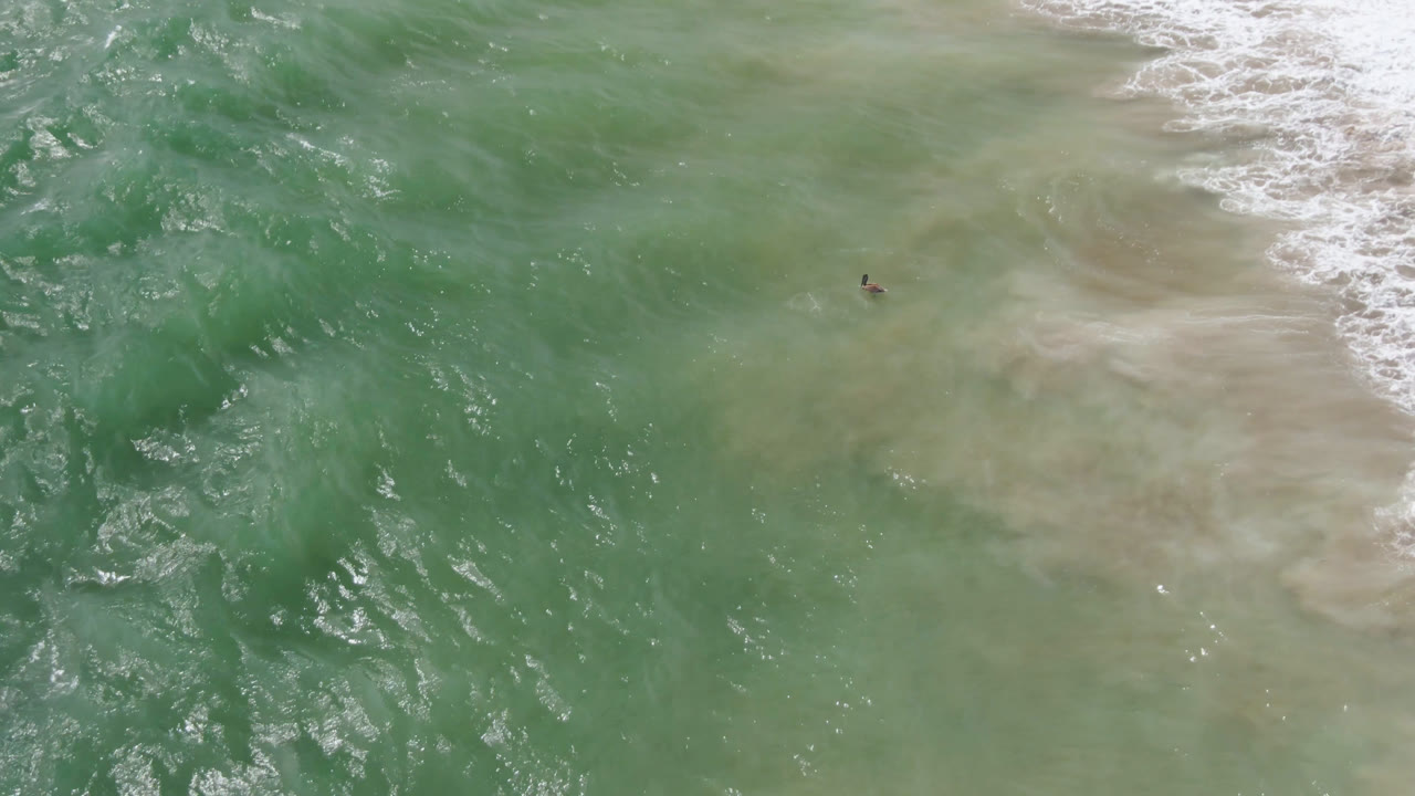Aerial frame from San Jose del Cabo shows textured green water, a pale sandy plume near the surf line, and a small distant surfer or board shape offshore.