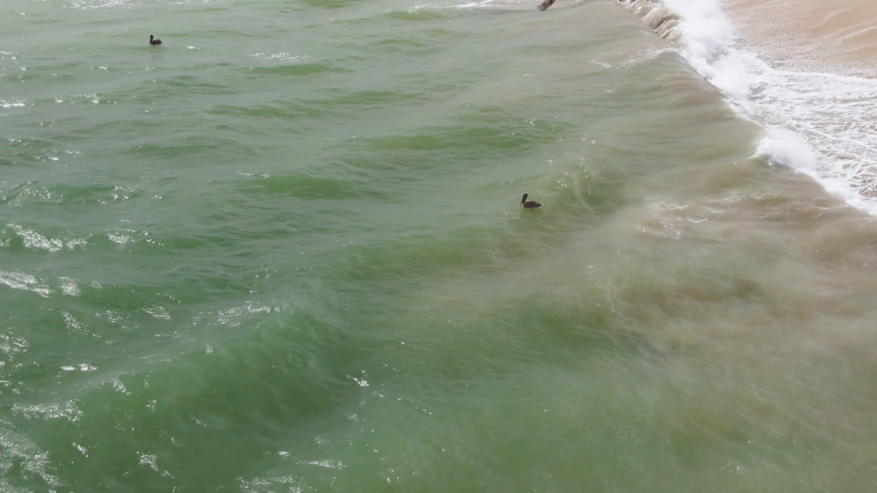 Aerial frame over San Jose del Cabo water with sandy shallows under green-blue surf, white waves near the beach, and small distant swimmers visible.