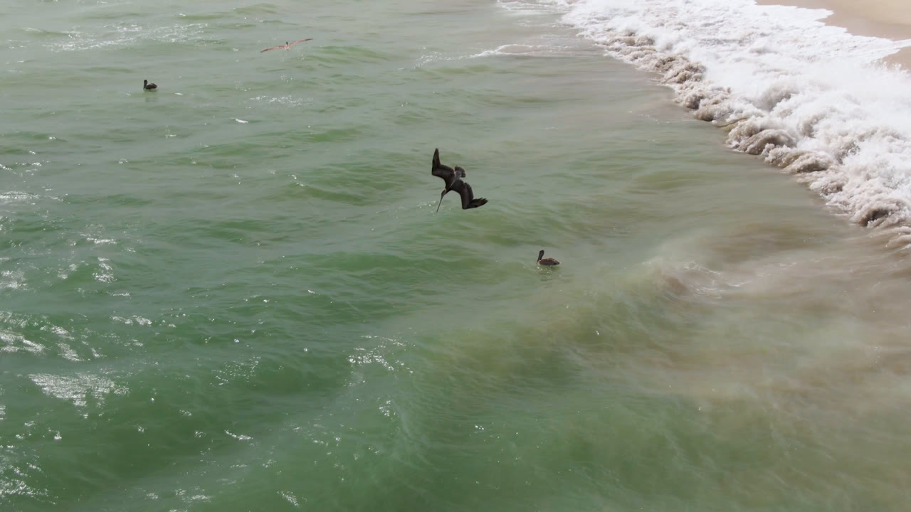 Drone view over San Jose del Cabo surf with a foamy wave line at the top, tan sand plumes below the surface, and several distant surfers or swimmers.