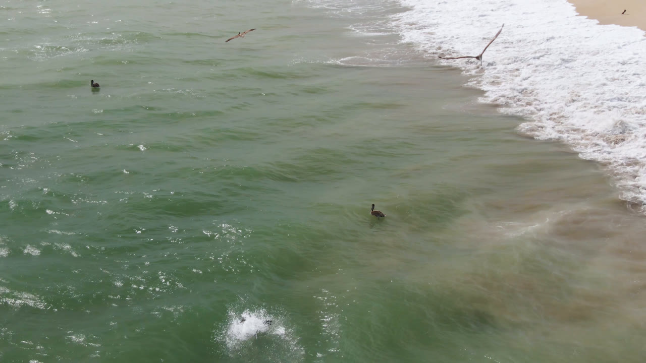 Aerial ocean frame with white shore waves and small swimmers in green water.