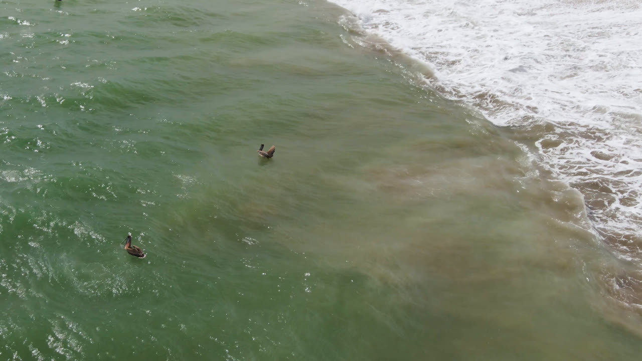 Aerial view of birds over rippled green water as a diagonal white surf band reaches the sand in San Jose del Cabo, Mexico, with no visible people.