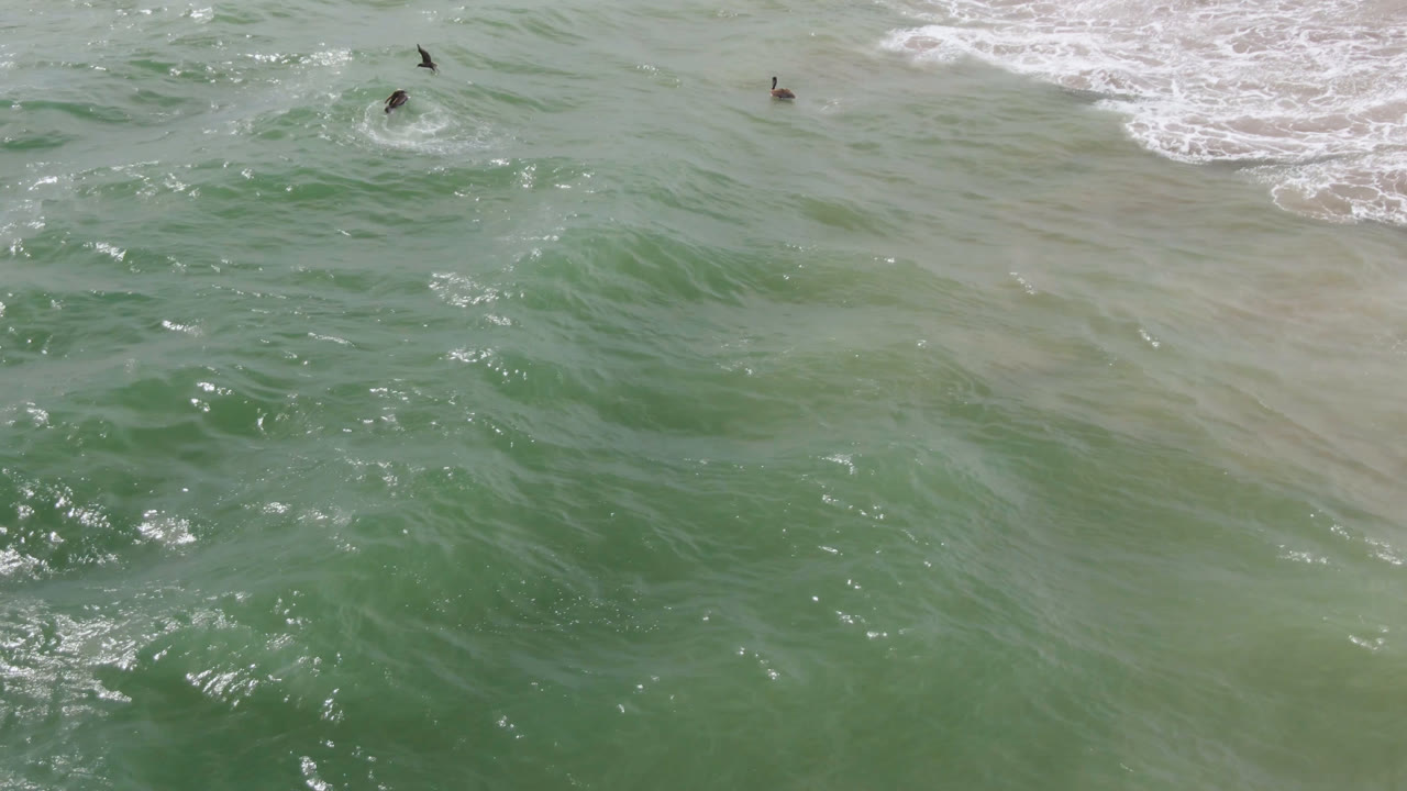 High overhead view of green ocean water in San Jose del Cabo with small swimmers spread near the top of the frame and white surf streaks crossing the water.