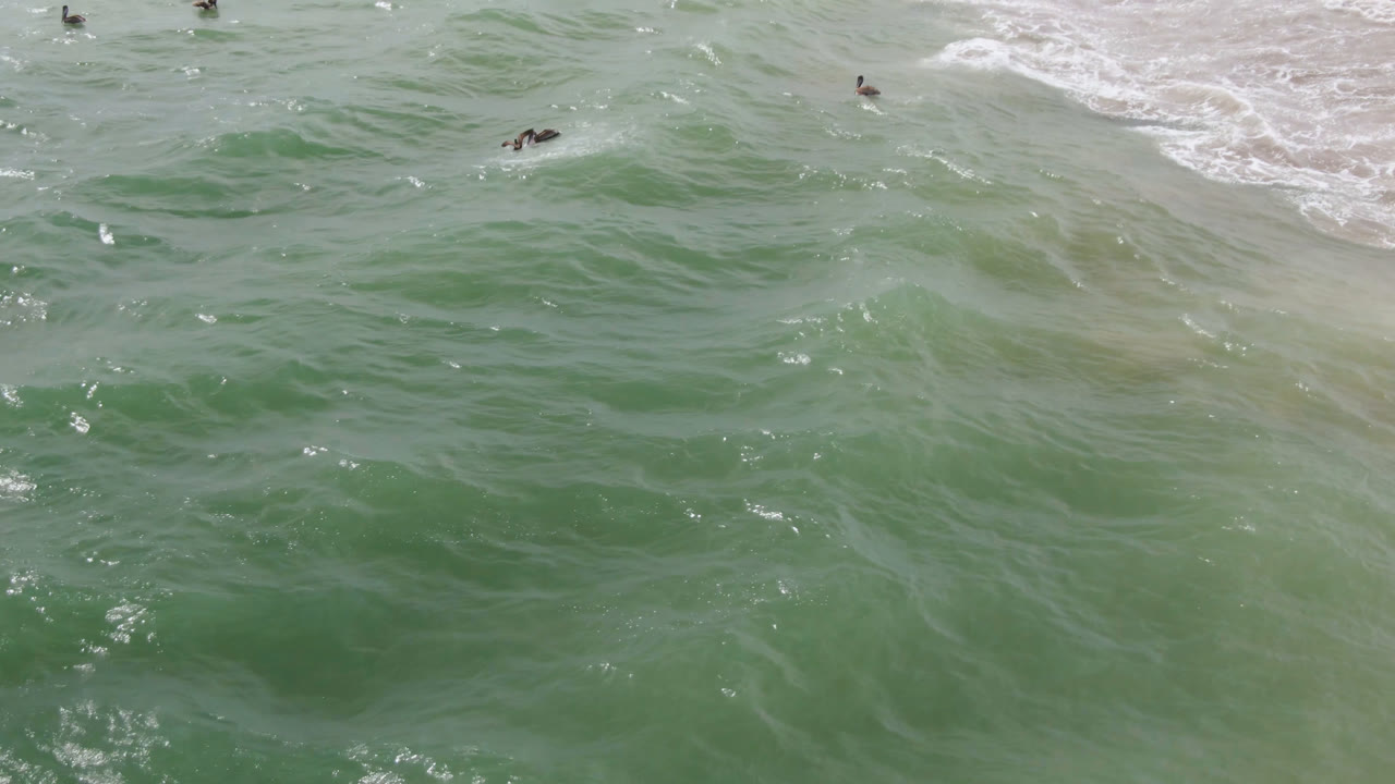 Aerial frame over San Jose del Cabo ocean water where several small swimmers sit among pale foam bands and darker green water patches.