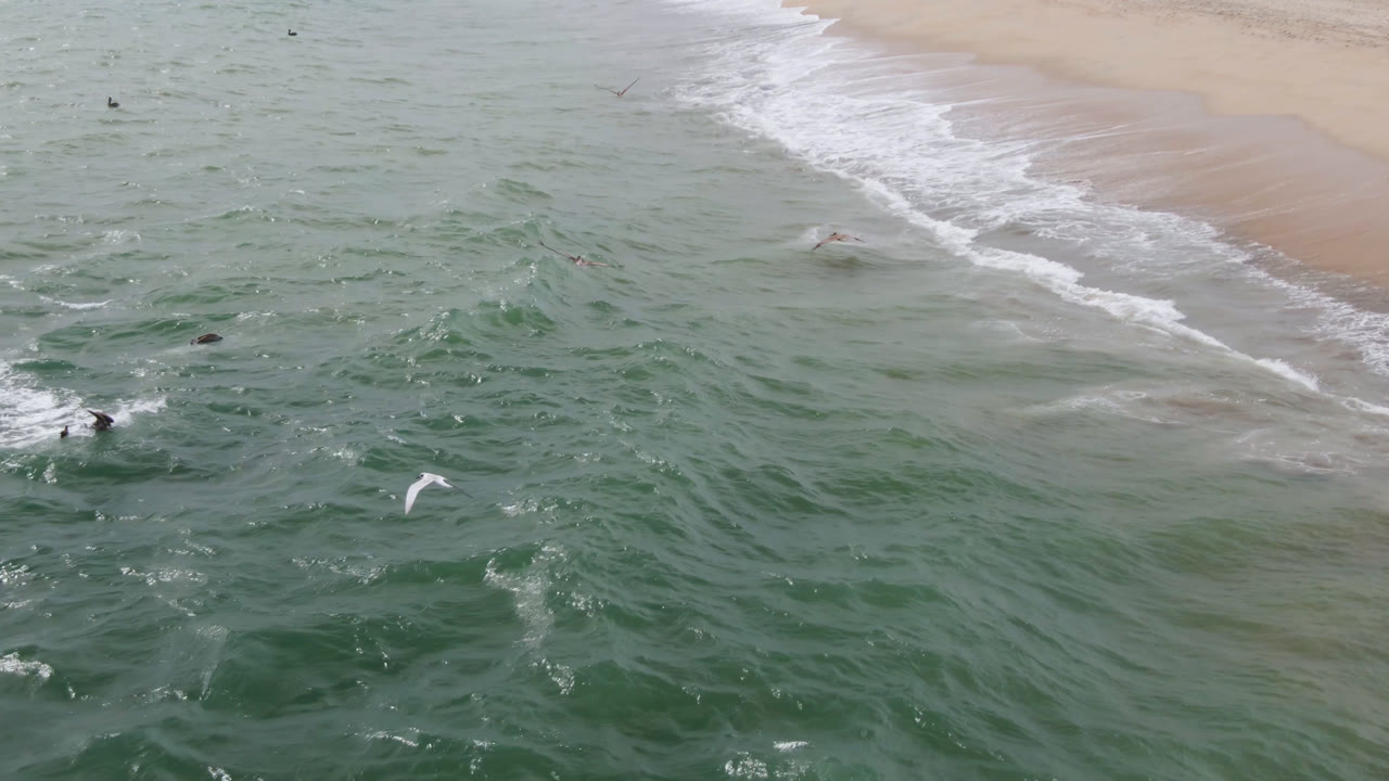Aerial frame from San Jose del Cabo with rippled green water in the foreground, pale sand at the top, whitewash along the shore, birds in flight, and no visible people.