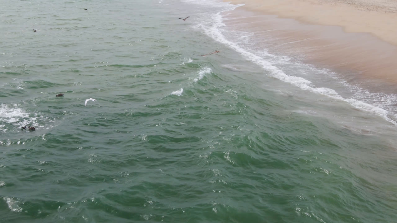 Green waves roll toward a sandy shore with birds flying above the water.