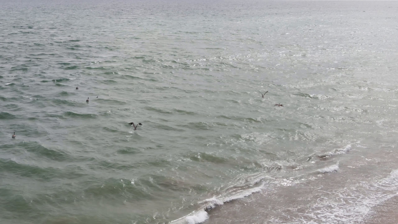 Aerial shoreline frame from San Jose del Cabo, Mexico, with birds over rippled green water and white foam forming along the lower beach edge, with no visible people.