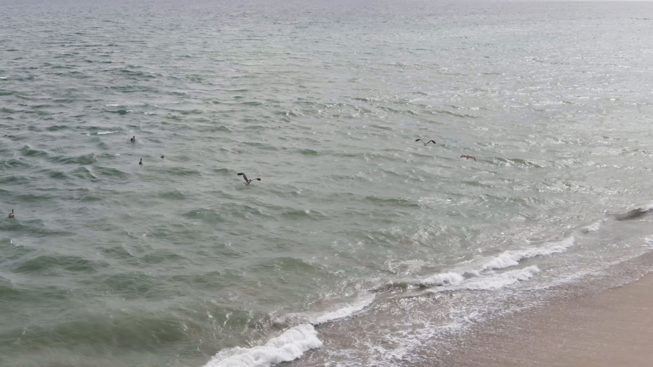 Diagonal surf line and birds scattered over the ocean surface.