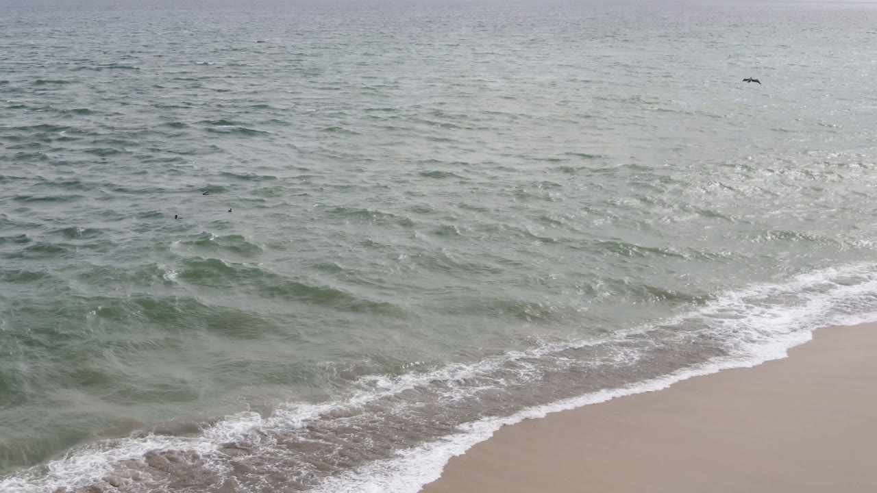 At 0:00 in San Jose del Cabo, green-gray water fills the frame as a foamy wave reaches pale sand and a tiny distant surfer appears offshore.
