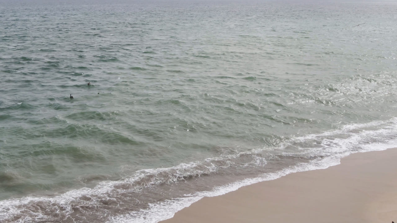 At 0:01 in San Jose del Cabo, low waves break diagonally toward the sand while several tiny dark figures are scattered in the offshore water.