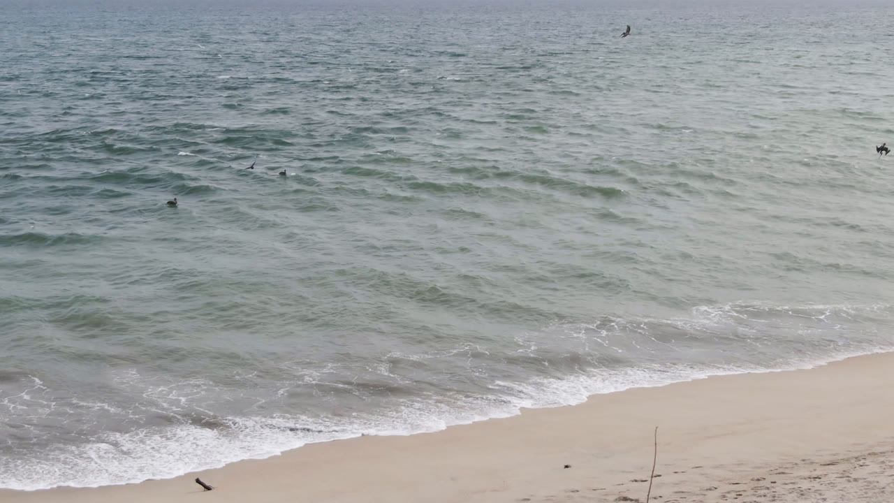 San Jose del Cabo beach view with a curved white surf line reaching farther up the sand and a few distant dark birds above the textured ocean surface.