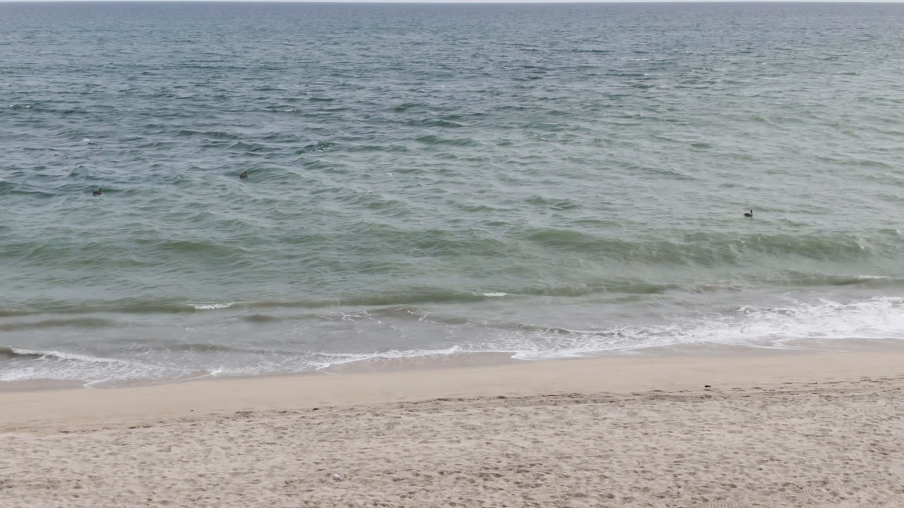 High aerial view of San Jose del Cabo beach with pale sand at the bottom, a thin line of white surf, green-blue ocean, and tiny distant dark points offshore.