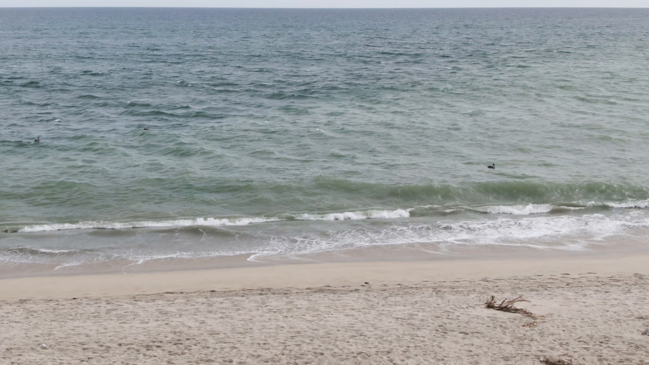 San Jose del Cabo shoreline frame with a low white wave breaking near the sand, textured green water beyond, and no identifiable people on the beach.
